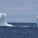Iceberg -- Newfoundland